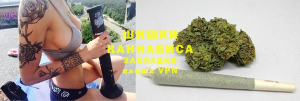мет Ельня