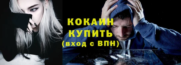 мет Ельня