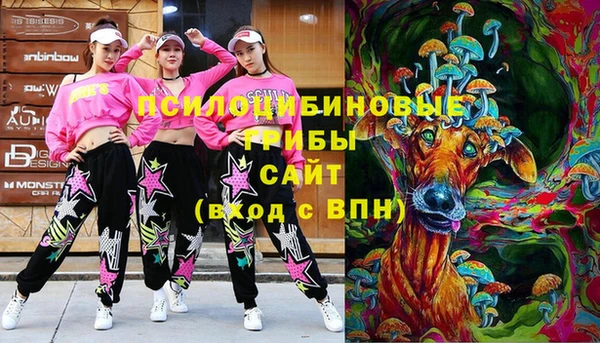 мет Ельня
