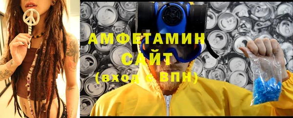 мет Ельня