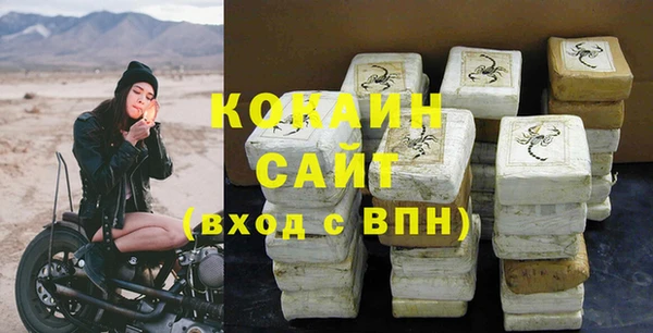 мет Ельня