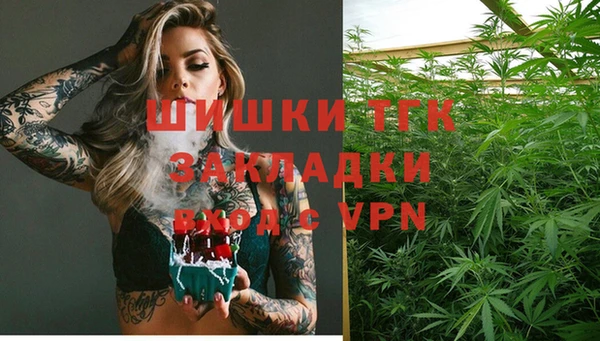 мет Ельня